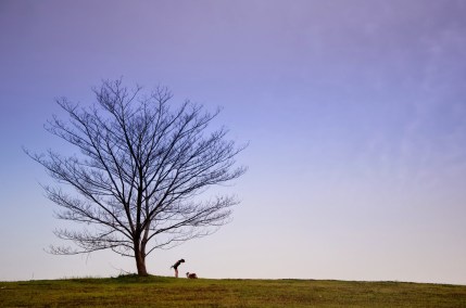 c9d85-dsc_2268-edit-11