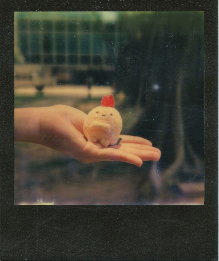 Image (23) (2) - ebi