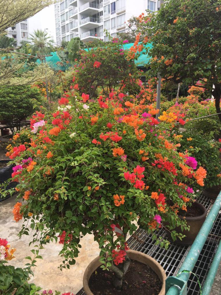 photo_2017-03-12_23-04-17